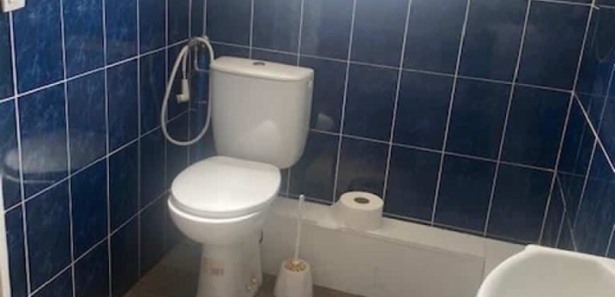 Local professionnel de 32.98 m2, Sainte Clotilde