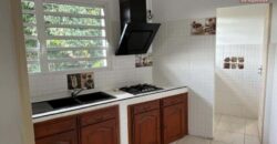Appartement en local professionnel en centre ville de Saint-André