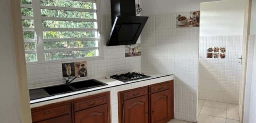 Appartement en local professionnel en centre ville de Saint-André