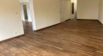 A louer un  local professionnel de 170M2 en plein centre ville d’analakely