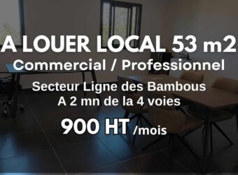 À louer local commercial / professionnel de 53 m2 situé secteur Ligne des Bambous entre Saint-Pierre et Le Tampon Réunion