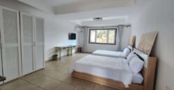 En vente un grand complexe commercial avec fort rendement à Talatamaty Tananarive