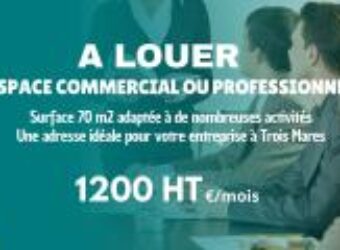 À louer un local commercial ou professionnel d’environ 70 m² situé à Trois Mares Le Tampon Réunion