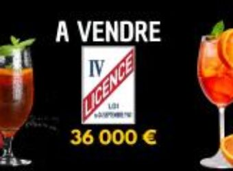 À vendre Licence IV transférable sur toute l’île de La Réunion