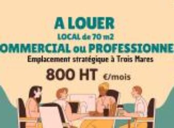 À louer bureau professionnel de 70 m² avec parking à Trois Mares Le Tampon Réunion