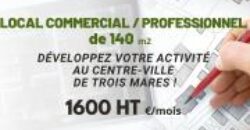 À louer local professionnel ou commercial de 140 m² situé à Trois Mares Réunion